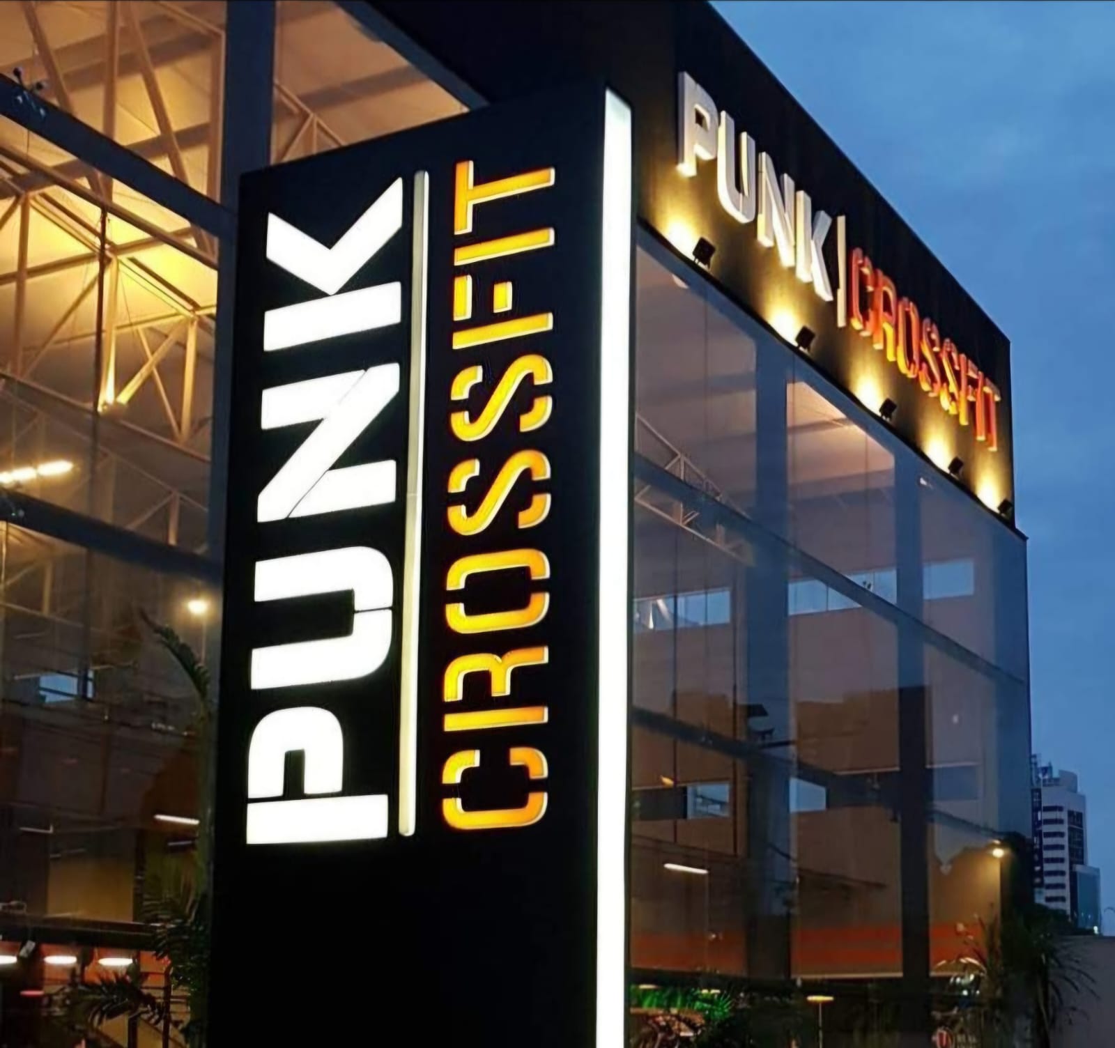 Punk Crossfit
